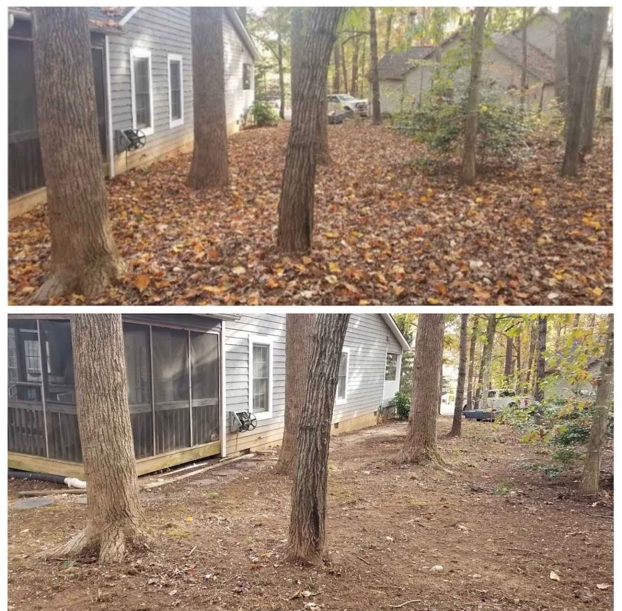 Wooded backyard before and after a full leaf and debris clean up