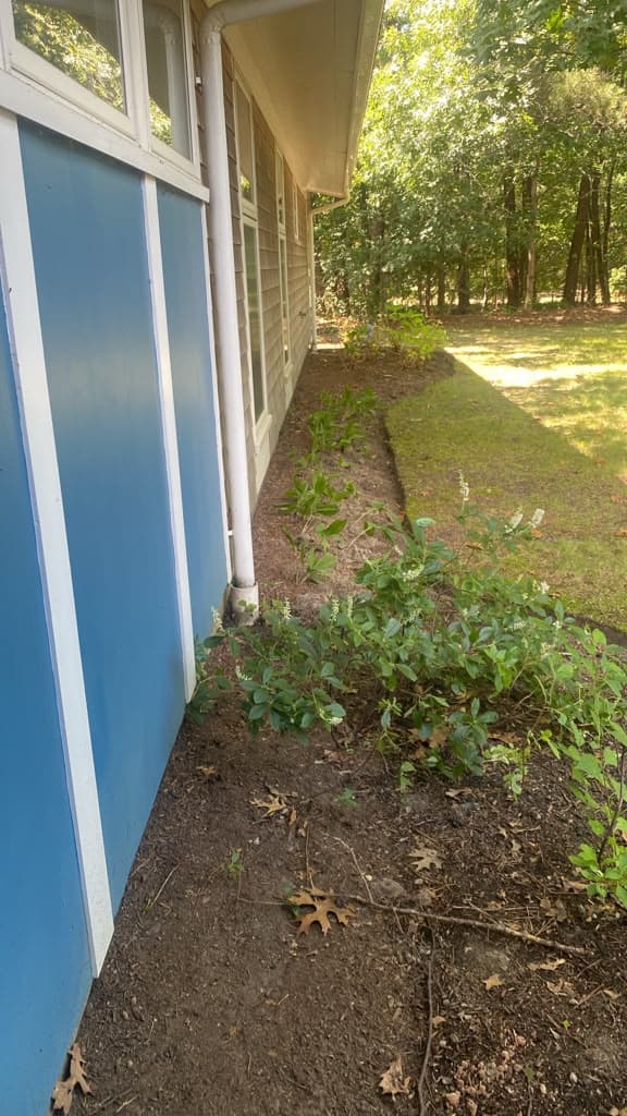 Freshly mulched planting bed along the side of a home