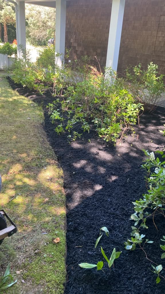 Mulched planting bed along a stone walkway