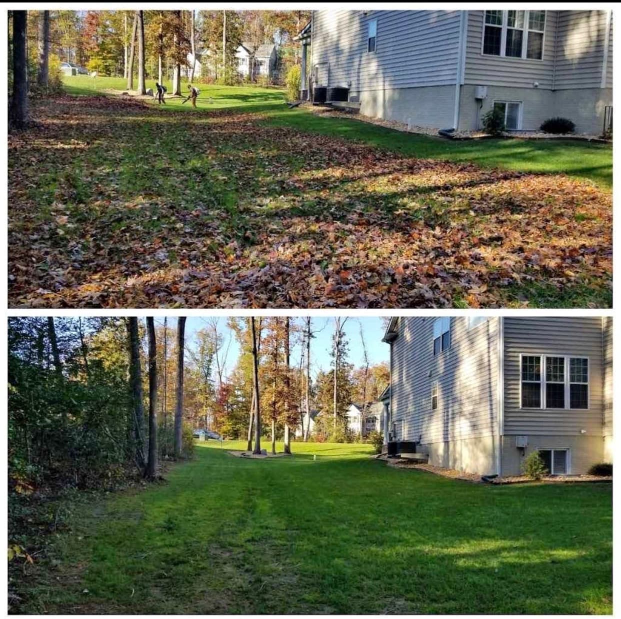 Backyard before and after a full fall leaf clean up near the house