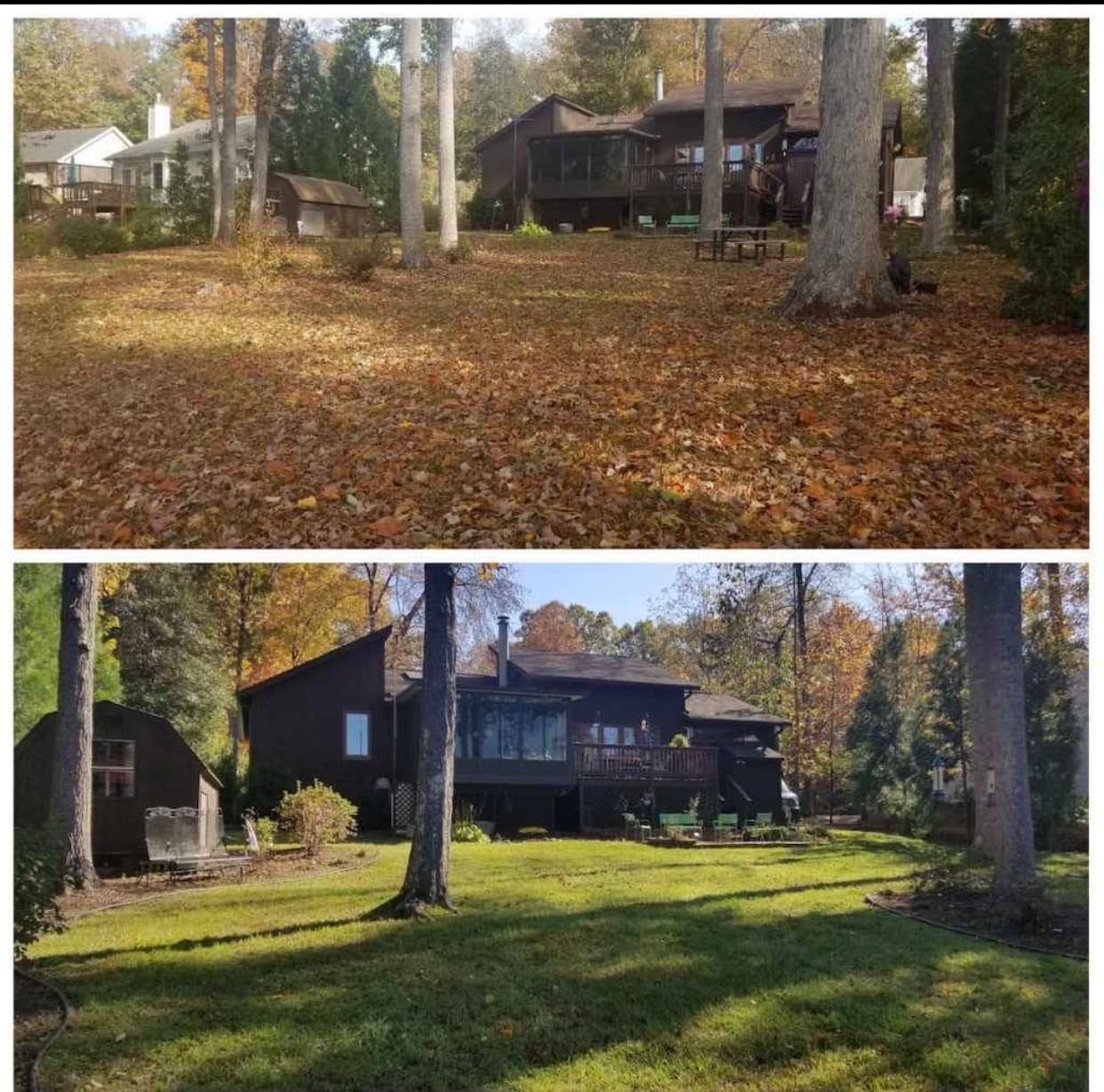 Wooded backyard before and after a full leaf clean up