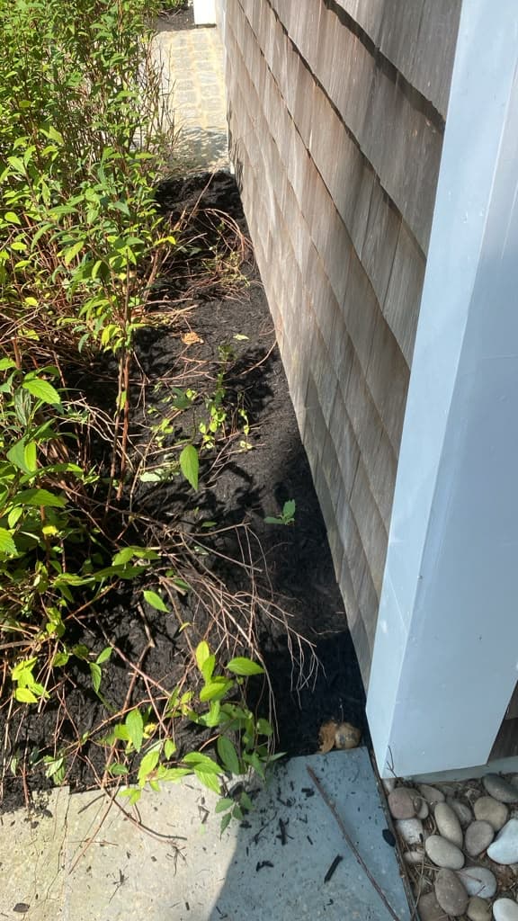 Freshly mulched tree bed with clean, professional edging
